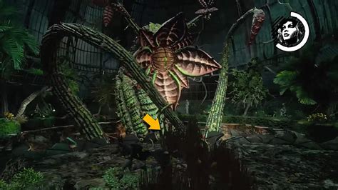 Batman Arkham Asylum Poison Ivy Boss Fight Guide