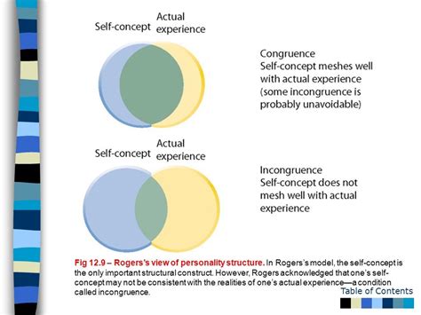 Carl Rogers Theory Of Personality