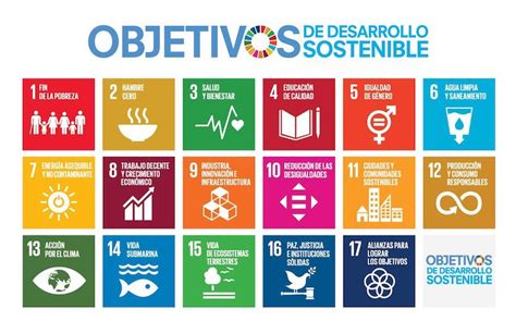 Fcc Medio Ambiente Y La Agenda De Las Naciones Unidas Y Sus