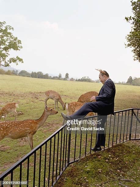 37 Man Peering Over Fence Stock Photos High Res Pictures And Images