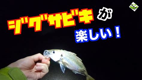 【アジ釣れています！】サーフでのアジ釣り！山形の釣り！ Youtube