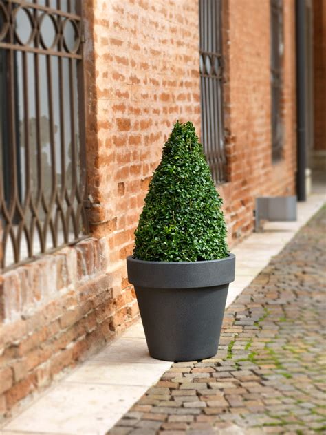 Fiori Plastic Planters Modern Garten Kent Von The Pot Company