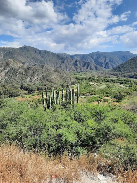 Reserva de la Biosfera Barranca de Metztitlán Geoparque Comarca