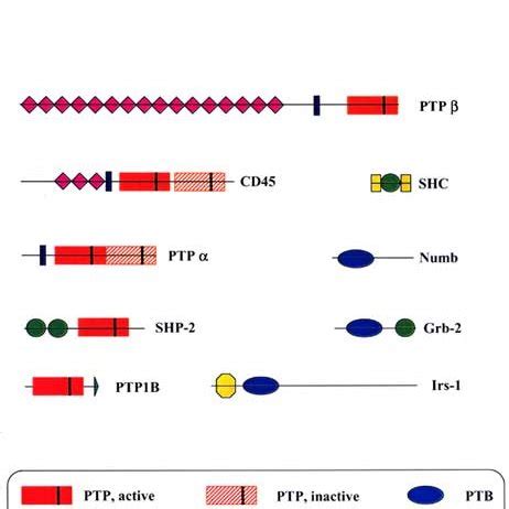 Synthesis Of Combinatorial Libraries By Split And Mix Split And