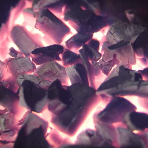 Which Charcoal Briquettes Are Summer S Best