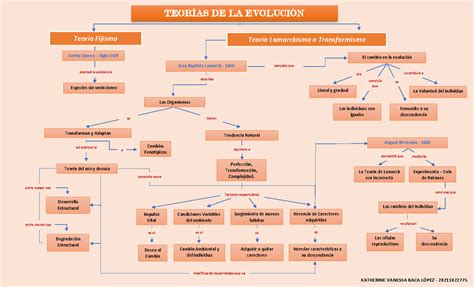 Mapa Conceptual Sobre Los Puntos Claves E Importantes De Las Teorias De La Evolucion Katherine