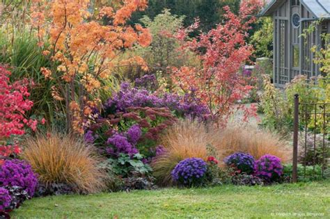 Comment Cr Er Un Beau Massif De Vivaces Parterre De Fleurs Massif