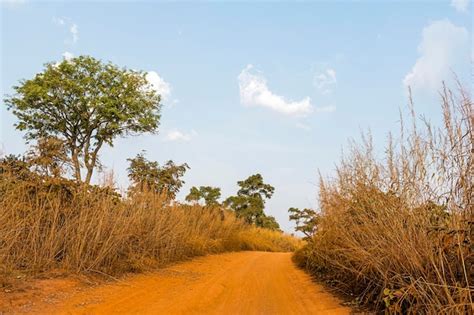 African Path Images Free Download On Freepik