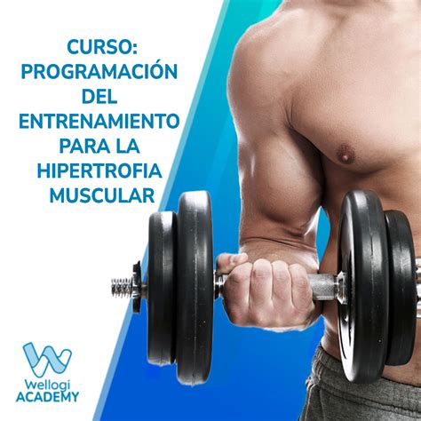 Programación Del Entrenamiento Para La Hipertrofia Muscular