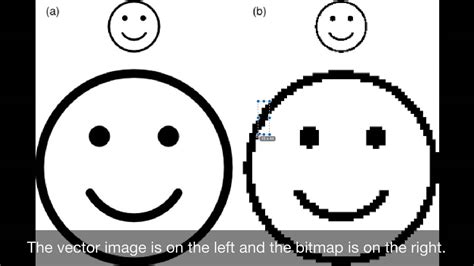 Comparing Bitmap And Vector Images Youtube