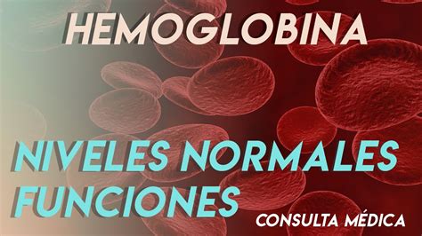 La Hemoglobina Funciones Niveles Normales Consulta M Dica Youtube