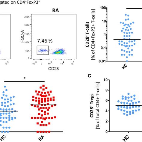 Cd28 − Regulatory T Cells Tregs Like Cells Show Evidence Of