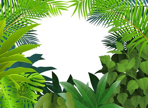 Jungle Vector At Getdrawings Free Download