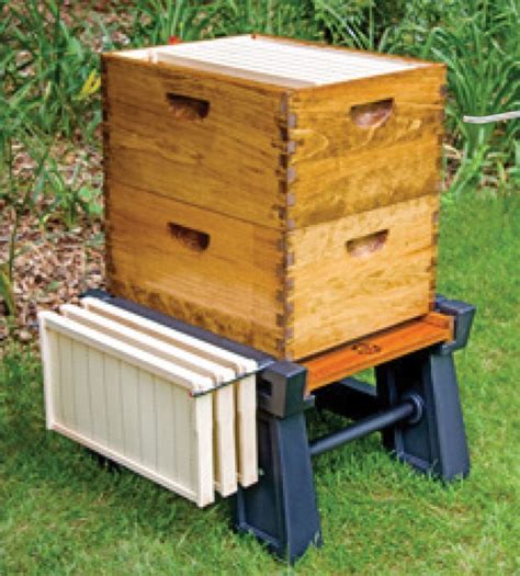 The Ultimate Hive Stand Hive Stand Bee Keeping Bee Keeping Supplies