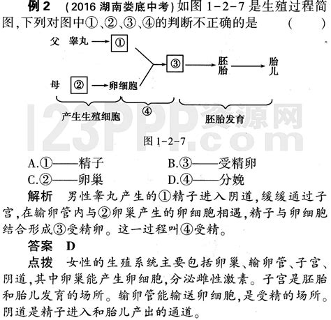 初一生物人教版七年级下册第1章第2节《人的生殖》教材全解 旷野小屋