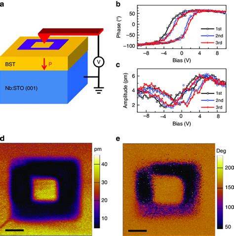 Piezoresponse Force Microscopy Characterization Of A Unit Cells Of