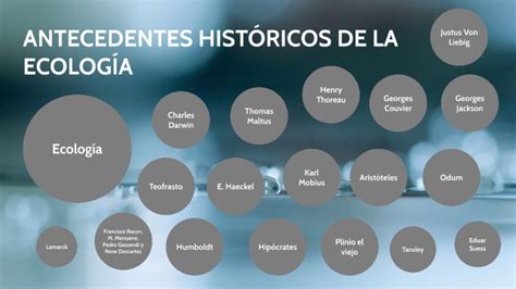 Antecedentes Historicos De Ecologia Image To U