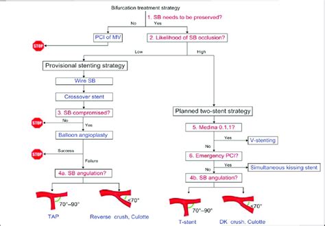 Algorithm For Bifurcation Lesion Modified From Rai Et Al 2015