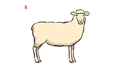 Sheep Drawing How To Draw A Sheep