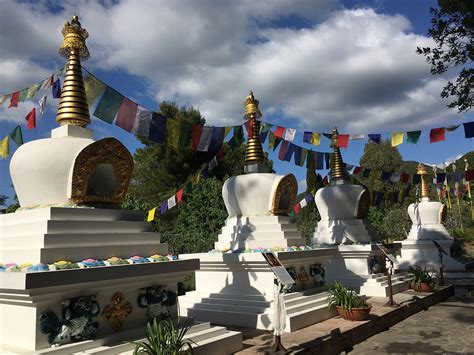 Un Pomeriggio Zen Nell Istituto Buddhista Di Pomaia