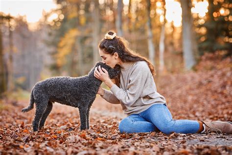 Fotoshooting Mit Hund Archives Raphaela Schiller Hundefotografie