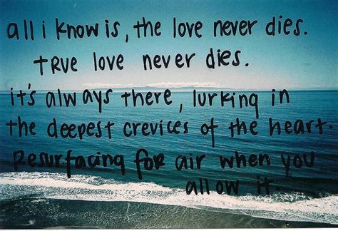 True Love Never Dies Love Never Dies Dice Quotes Personal Quotes