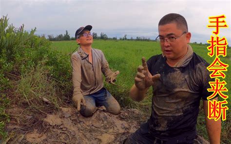 不起眼的洞里藏着大家伙，地球哥摸到一半不敢下手，直呼螃蟹太大 思乡渔夫 思乡渔夫 哔哩哔哩视频