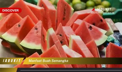 Intip 7 Manfaat Buah Semangka Yang Bikin Kamu Penasaran Discover