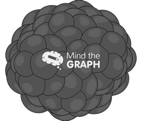 Free Morula Icons, Symbols, Pictures, and Images | Mind the Graph