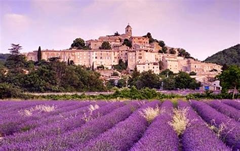 20 Stunning Pictures Of Lavender Fields In France