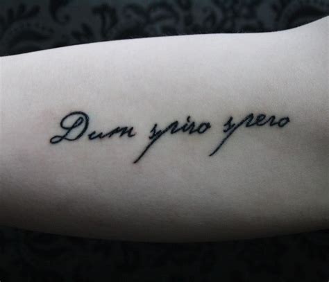 While I Breathe I Hope Tattoos Dum Spiro Spero Tattoo Phrases Tattoo