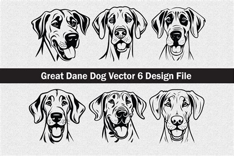 Great Dane Dog Vector Svg Graphic By Jennadesignsstore · Creative Fabrica