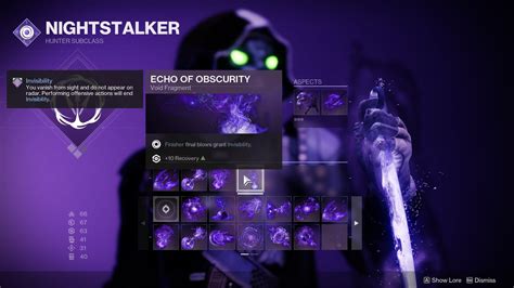 Destiny 2 Best Void Hunter Build 2022