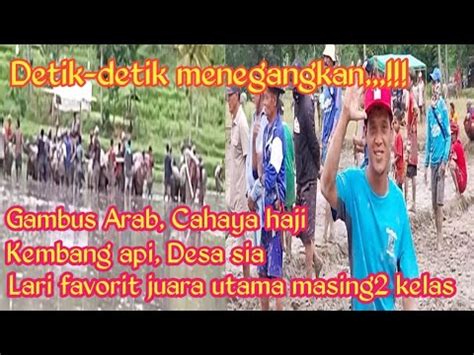 Detik Detik Menegangkan Empat Kerbau Ini Meraih Juara Utama Lari