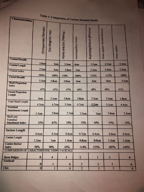 Solved Table 1: Comparison of Various Hominid Skulls | Chegg.com