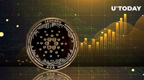 This Key Cardano Metric Just Reached Highest Level Since March