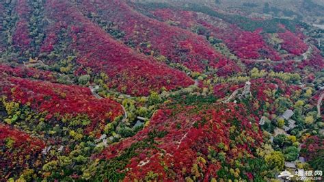 2024红叶谷景区（门票地址开放时间景区介绍）信息一览济南红叶谷济南景区 墙根网