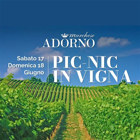 Picnic In Vigna Marchese Adorno