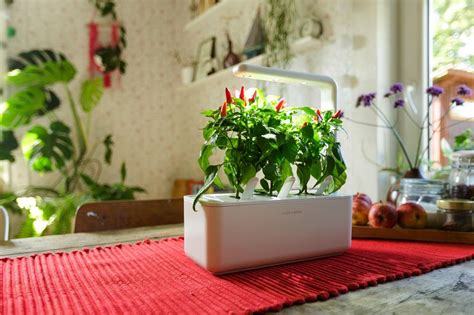 What Makes Click & Grow Produce So Unique? – Click & Grow UK