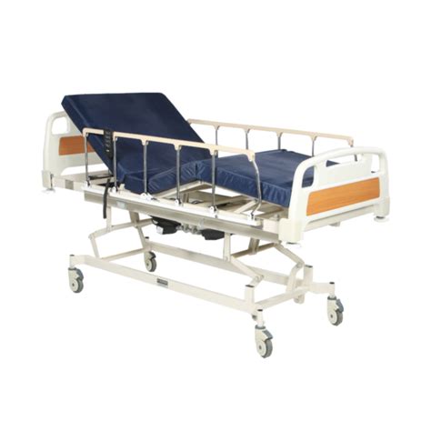 Asian Surgical Company — Icu Bed 3 Function Electric