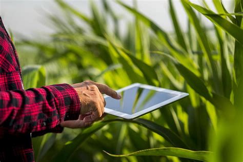 Agricultura y ecología la pareja del futuro Maquinac