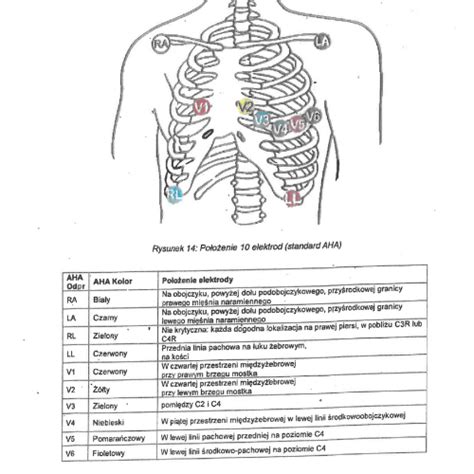 Jak Za O Y Holter Ekg W Domu Holter Ekg Odprowadze Model Bi