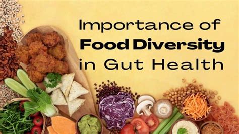 Importance Of Food Diversity In Gut Health Gut Health And Nutrition