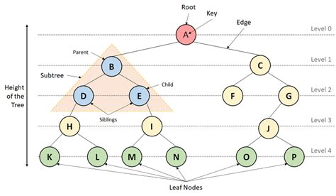 What Are Data Structures Definition And Types Javatpoint