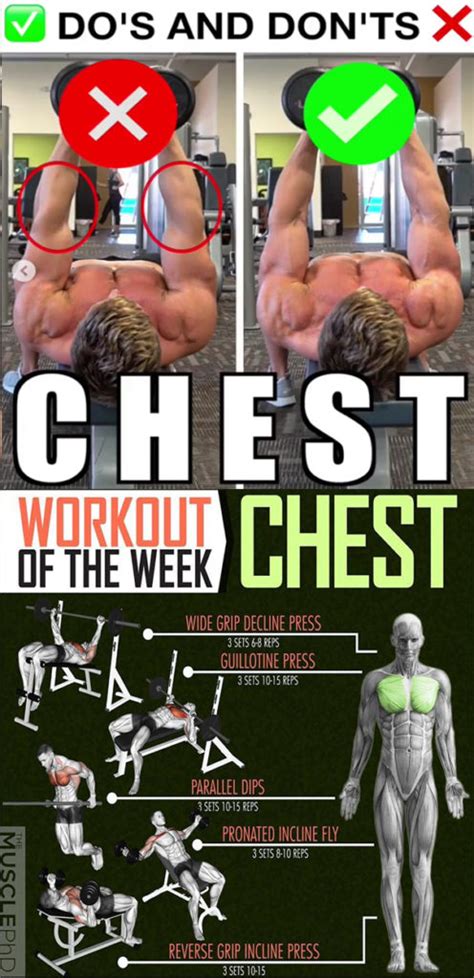 CHEST WEEK WORKOUT | GUIDE & VIDEO