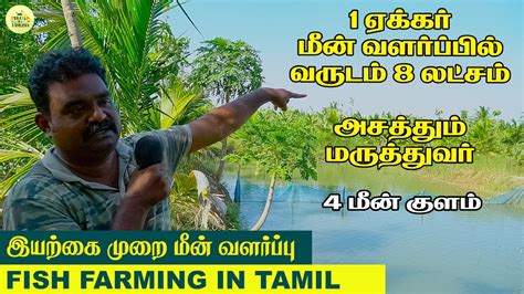 அதிக லாபம் தரும் மீன் பண்ணை தொழில் Fish Farming In Tamil Fish