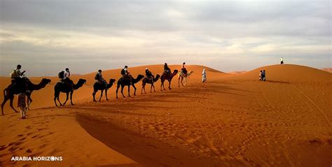 Dubai Camel Safari | Best Camel Ride Dubai | Arabia Horizons