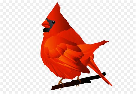 Aves Cardeal Norte St Louis Cardinals Png Transparente Gr Tis