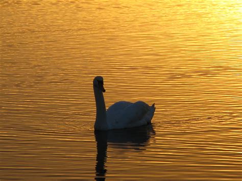 Hintergrundbilder Sonnenlicht Sonnenuntergang Meer Wasser Natur