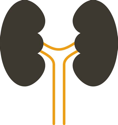 Urology Glyph Two Colour Icon 37422176 Vector Art At Vecteezy